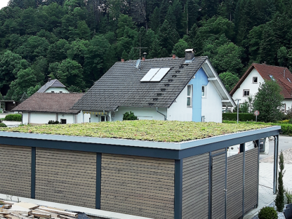 Gründach nach Verlegung